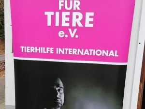 Helden für Tiere