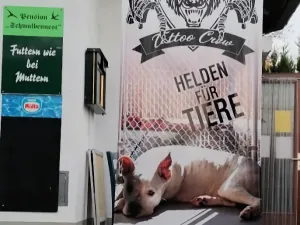 die Harten Hunde 
