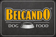 logo adlerschiffe
