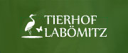 logo adlerschiffe